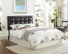 Contemporary Espresso Brown Full-Queen Headboard - Twilight