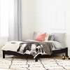 12236 Modern Pure Black Queen Platform Bed - Cavalleri