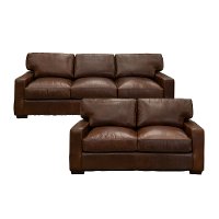 Contemporary Brown Leather 2 Piece Living Room Set - Native