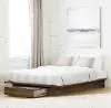 11939 Tao Modern Walnut Platform Full/Queen Storage Bed - South Shore