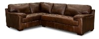Brown Leather 2 Piece Sectional Sofa with LAF Sofa - Rhodes