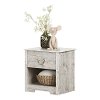 11891 Coastal Seaside Pine Nightstand - Aviron -4