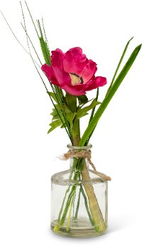 Assorted Anemone Potted Plant Arrangement