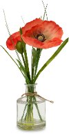 Assorted Poppy Potted Plant Arrangement