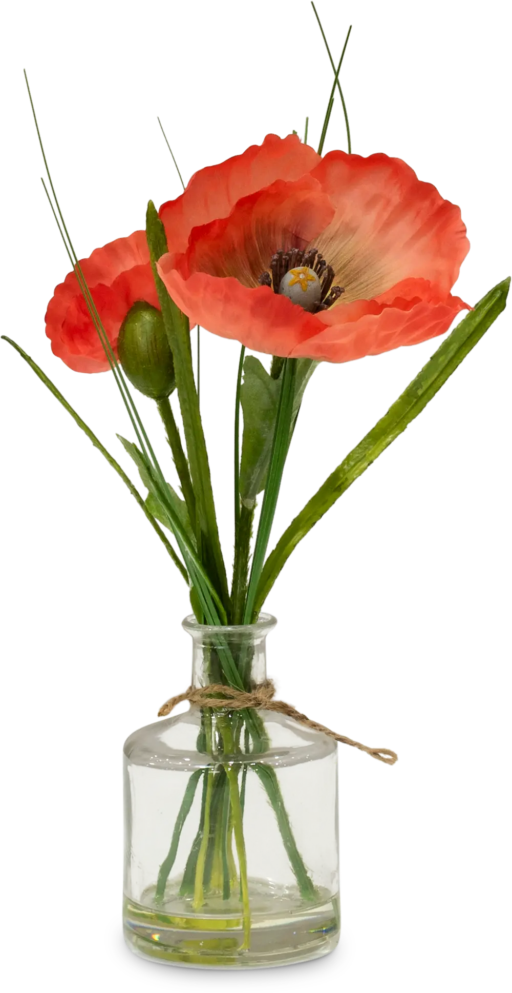 Assorted Poppy Potted Plant Arrangement-1