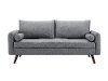 Modern Gray Sofa - Carson