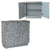 Clearance Silver Leaf Flowered Contemporary 2 Door Cabinet - Alma