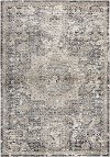 5 x 8 Medium Traditional Gray and Beige Area Rug - Panache