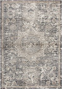 5 x 8 Medium Traditional Gray and Beige Area Rug - Panache