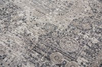5 x 8 Medium Traditional Gray and Beige Area Rug - Panache-5