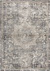 8 x 11 Large Traditional Gray and Beige Area Rug - Panache