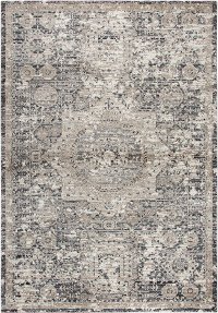 8 x 11 Large Traditional Gray and Beige Area Rug - Panache