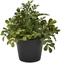 Artificial Greenery Potted Arrangement