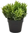 Clearance Green Potted Faux Plant Arrangement
