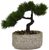 Faux Green Bonsai Arrangement Plant in Pot
