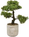 Green Faux Bonsai Pot Arrangement
