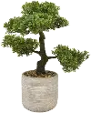 Green Faux Bonsai Pot Arrangement