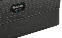 SET Beautyrest Standard Split Queen Box Spring - Silver 2019