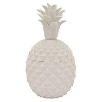 Sandstone White Pineapple Lidded Jar