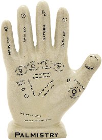 White Phrenology Hand Sculpture