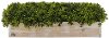 25 Inch Faux Topiary Potted Arrangement In Wooden Box