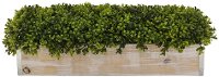 25 Inch Faux Topiary Potted Arrangement In Wooden Box