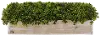 Clearance 25 Inch Faux Topiary Potted Arrangement In Wooden Box