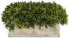 Clearance 15 Inch Faux Topiary Potted Arrangement In Wooden Box