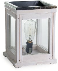 Aged White Wood Edison Bulb Illumination Warmer - Candle Warmers