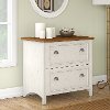Antique White and Tea Maple 2 Drawer Lateral File Cabinet - Stanford