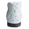 Clearance Owl Ultrasonic 100mL Essential Oil Diffuser