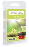 Clarity 2.5oz Aromatherapy Wax Melt - Candle Warmers
