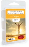 Energize 2.5oz Aromatherapy Wax Melt - Candle Warmers