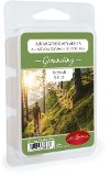 Grounding 2.5oz Aromatherapy Wax Melt - Candle Warmers