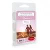 Clearance Romance 2.5oz Aromatherapy Wax Melt