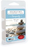 Tranquility 2.5oz Aromatherapy Wax Melt - Candle Warmers