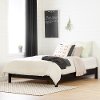 12239 Modern Farmhouse Ebony Black Queen Platform Bed - Tassio