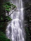 Waterfall Wall Art Printed on Glass
