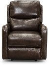 Mahogany Leather-Match Power Recliner with Power Lumbar and Headrest - Chia
