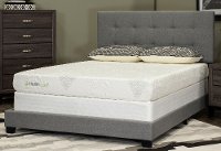 Contemporary Gray Queen Upholstered Bed - Florence