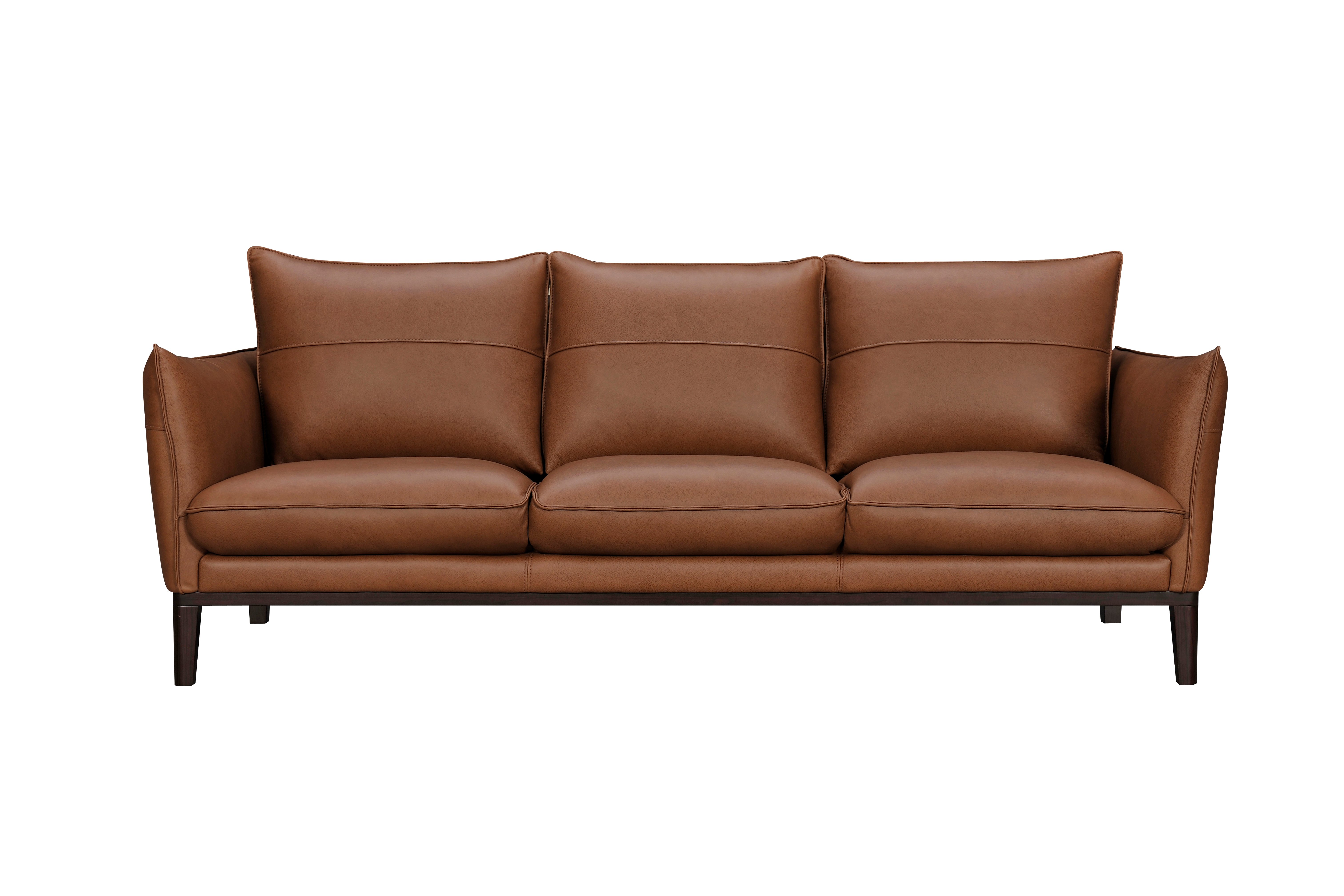 Modern Brown Leather Sofa - Rangers-1
