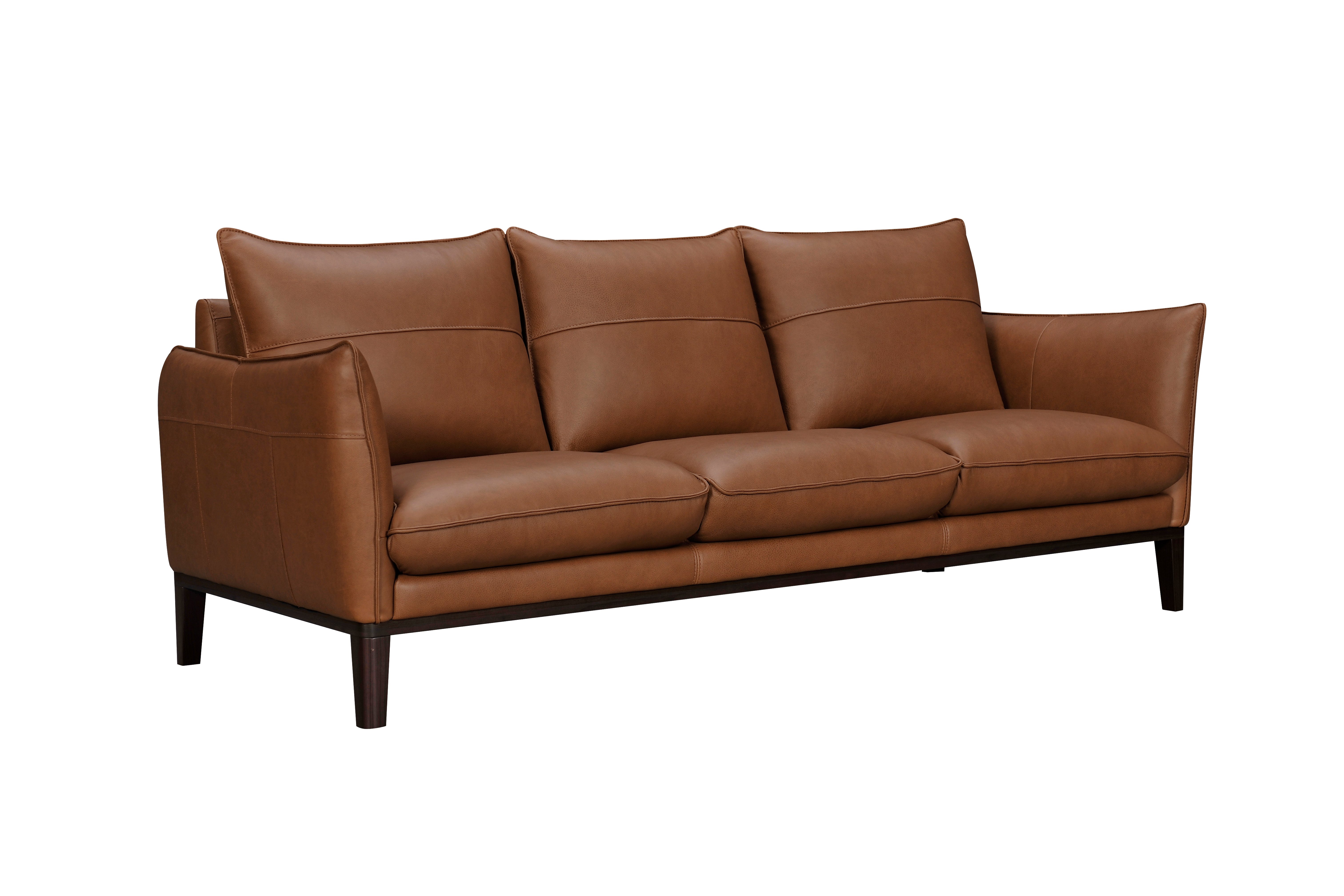 Modern Brown Leather Sofa - Rangers-2