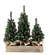 Three Tree Tabletop Decoration in a Wooden Box
