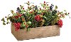 Green and Red Pine Cone and Berry Arrangement in a Box