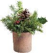 12 Inch Holly, Pine and Berry Arrangement in a Pot