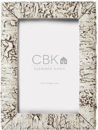 Resin White Birch Picture Frame