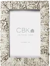 Clearance Resin White Birch Picture Frame
