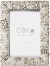 Resin White Birch Picture Frame