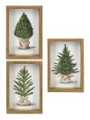 Assorted Green Christmas Tree MDF Plaque
