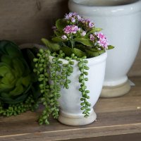 6 Inch White and Brown Ceramic Planter-2